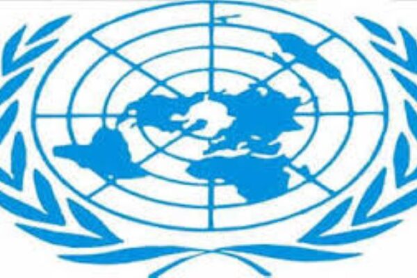 Picture of UN logo on India Diplomacy website